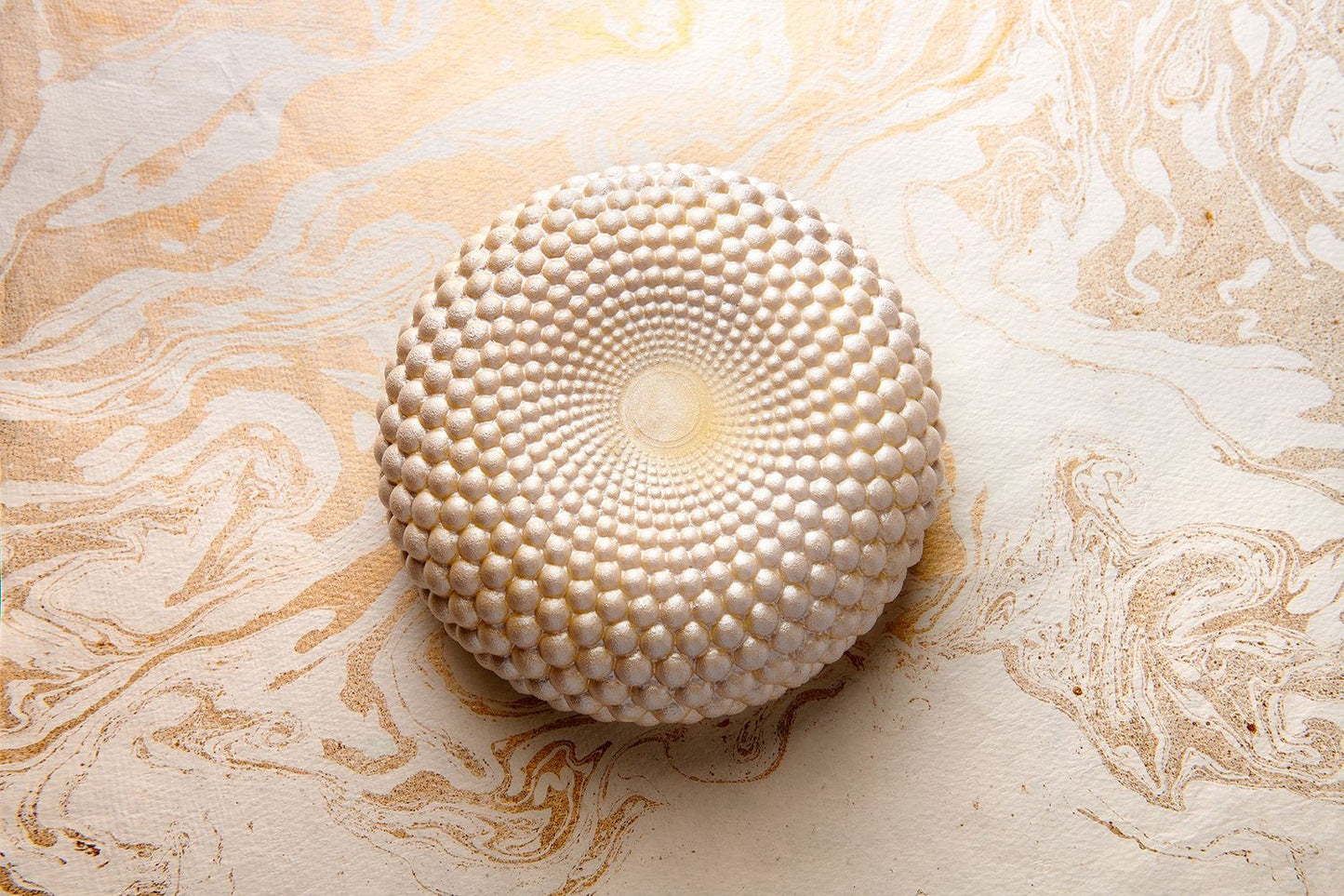 Chocolate Mousse Cake