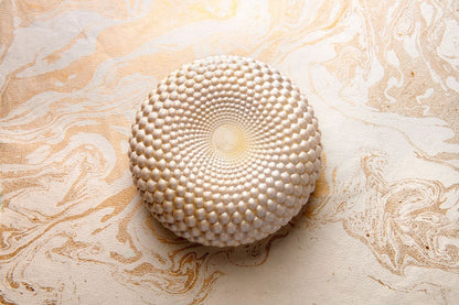 Chocolate Mousse Cake