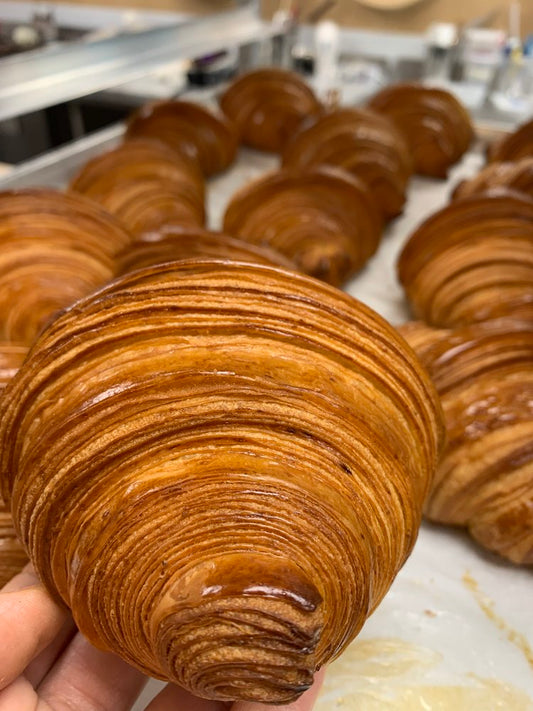 Classic Croissant - Pack of 3